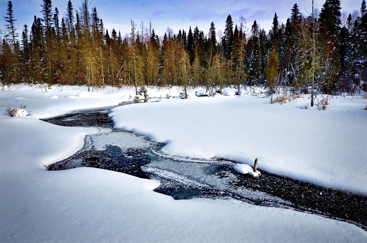 A Green Vista: The Integral Role of Biodiversity in Scenic Landscapes